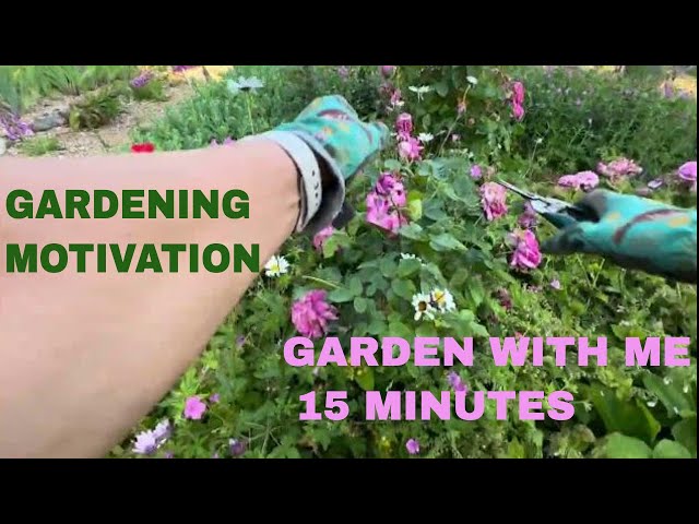 Garden 15 Minutes At A Time-Gardening Tips-Garden With Kate #gardeningtips #gardenwithme