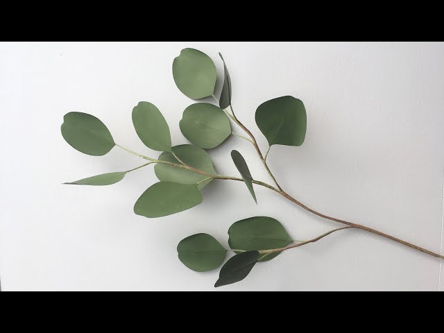 ABC TV | How To Make Silver Dollar Eucalyptus From Paper - Craft Tutorial