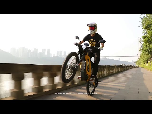 SurRon Light Bee L1e