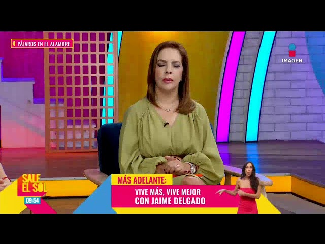 The best shows with Birds on a Wire! #SaleElSol🌞 #SaleElSolTV