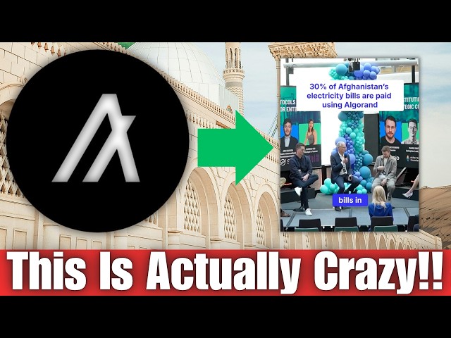 What Algorand ALGO Is Doing Is Actually Insane..... Why Is No One Talking About This...