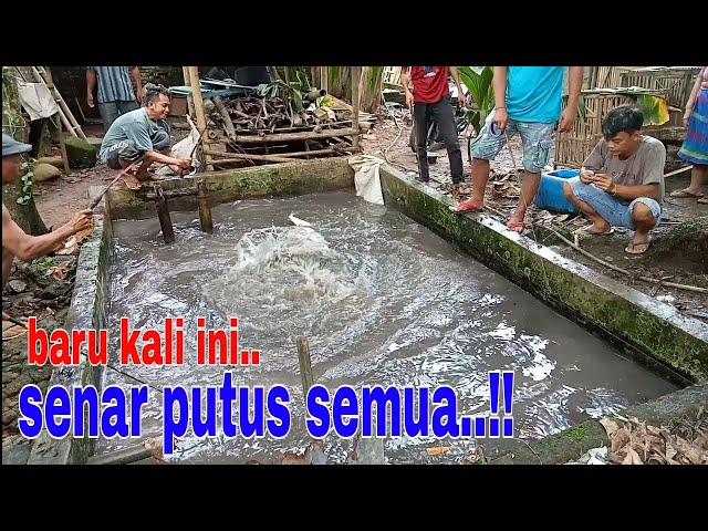 FISHING FOR MONSTER CATFISH // THIS IS SO GREAT‼️