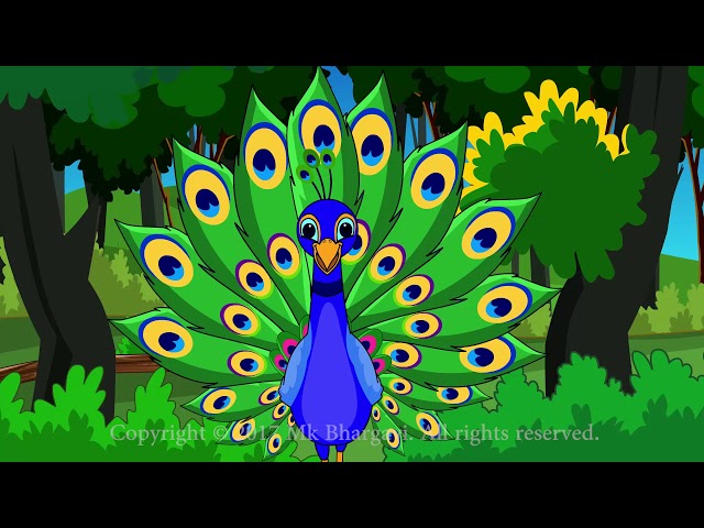 Peacock Song ||  #mkbhargavi  #nationalbird  #song