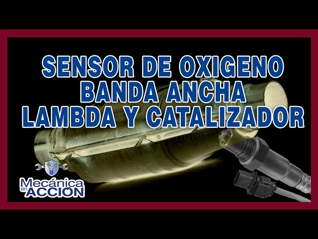 Sensor de Oxigeno Banda ancha Lambda y el catalizador