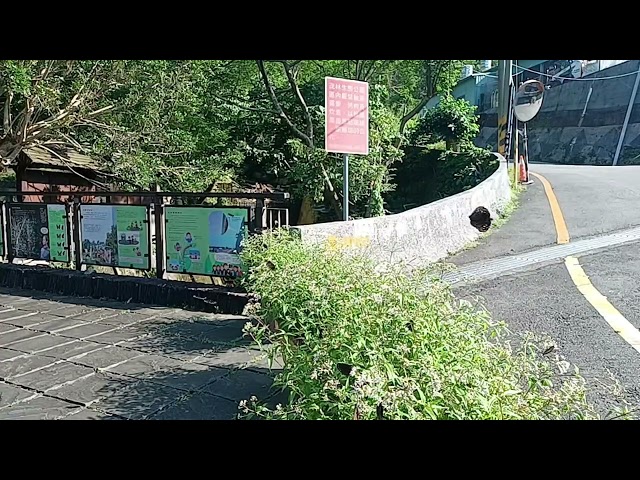 茂林國家風景區蝶況113 10 5