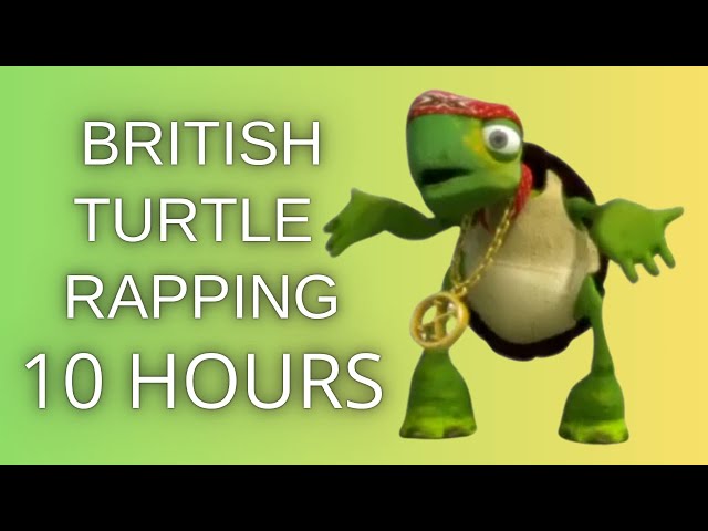 British Turtle Rapping 10 Hours