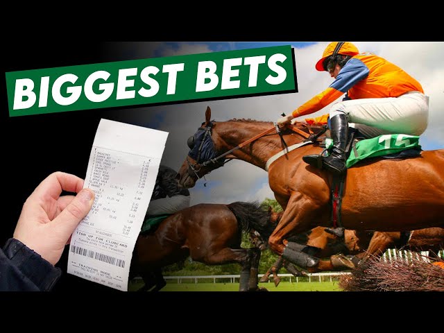 UNBELIEVABLE!! Horse Betting Wins: Top 10 Biggest Bets in Horse Racing History