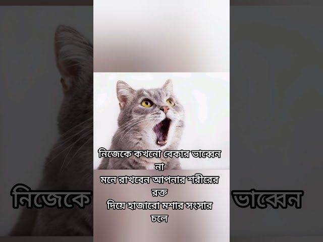 Funny captions | funny videos 🤣 jokes 😁
