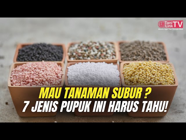 Different Fertilizers, Different Results! Get to Know 7 Types of Fertilizers and Their Benefits
