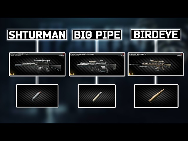 New BOSS Loadouts Are CRAZY (BOSS EVENT)