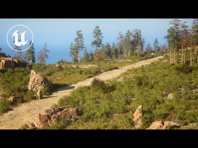 The Fastest Way to Scatter an Open World Biome in UE5