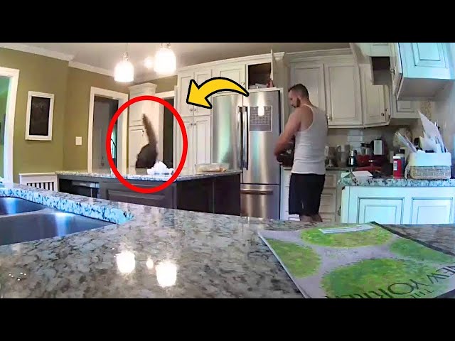 Food Goes Missing, Hidden Camera Footage Makes Man Sick