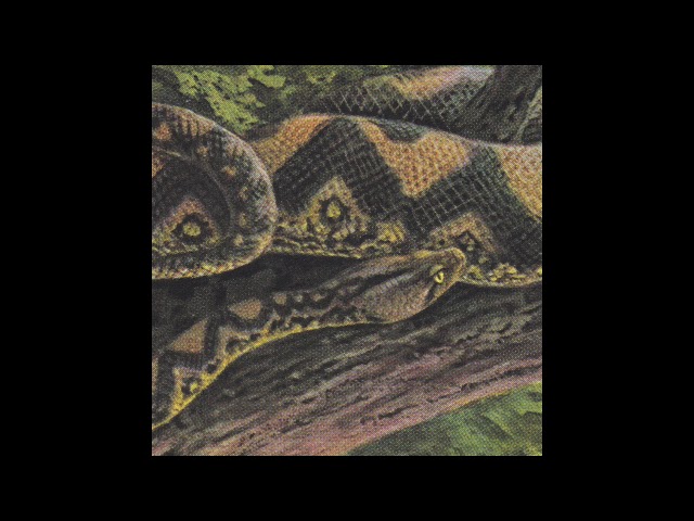 Rainforest Spiritual Enslavement - Ambient Black Magic [HOS-498]