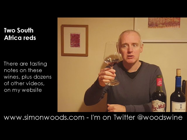 Wine Tasting with Simon Woods: Two South African Reds