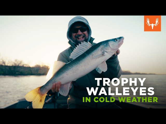 Trophy Walleyes in Cold Weather | Side Quests