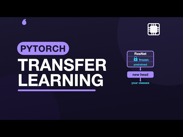 Transfer Learning: Fine-tuning a Pretrained ResNet — Practical PyTorch | 2.9