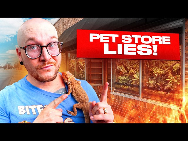 5 Lies Pet Stores Tell Reptile Owners