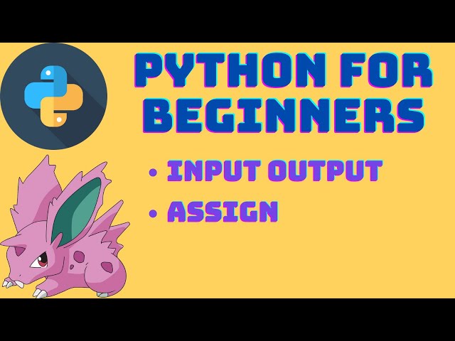 PYTHON FOR BEGINNERS - PART 1 - PRINTING - INPUT - OUTPUT - ASSIGN - FORMAT