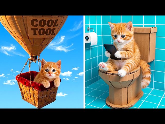 I Found a Kitten In The Sky 😻 Make Cool Cardboard DIY For Pets!