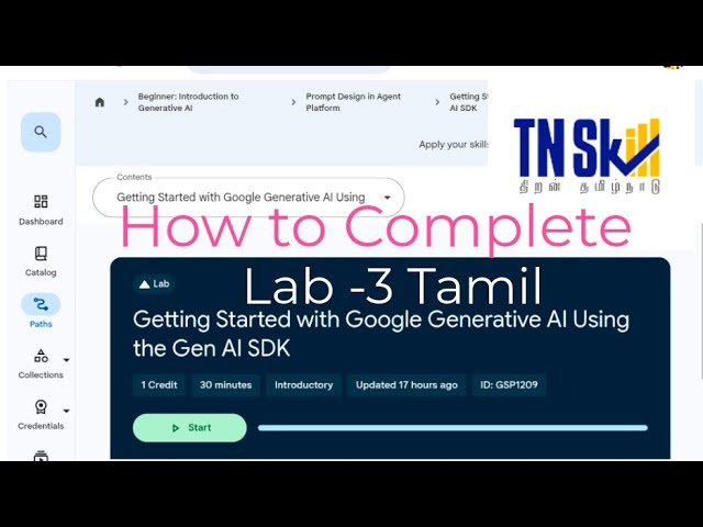 Google Skills | Getting Started with Google Generative AI Using the Gen AI SDK Lab 3