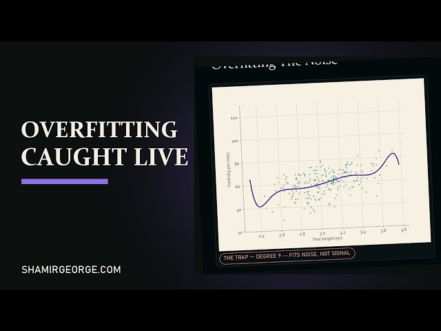 Correlation in Python: Scatter Plots with a Fit Line in Matplotlib
