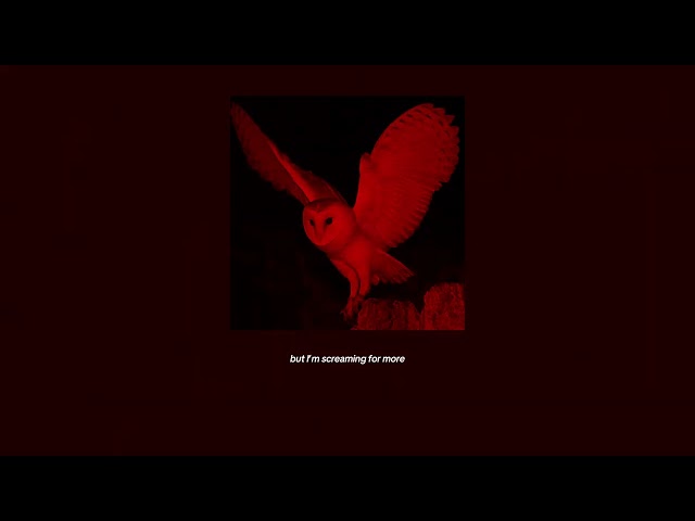 Saint Vice - ALTAR (Official Lyric Video)