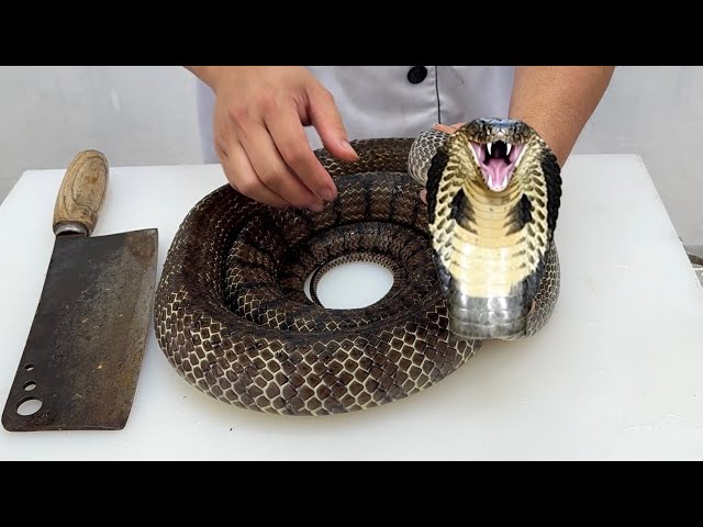 Snake meat cooked with papaya // gun chef