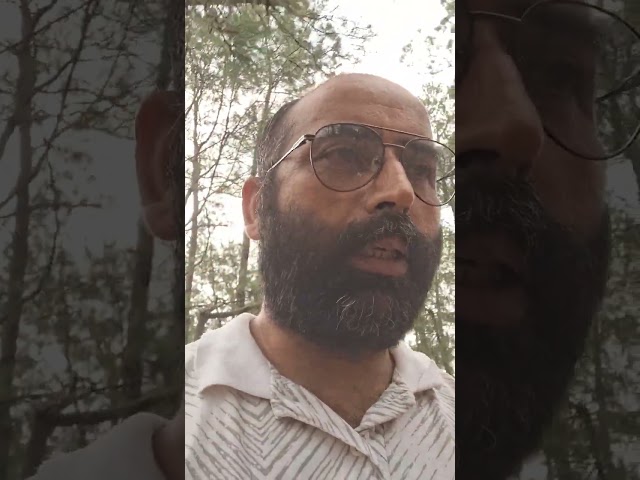 नाजा नाजा नाग को अनुकूलित वातावरण में छोड दिया गया। #snake #nature #funny #ytshorts #video