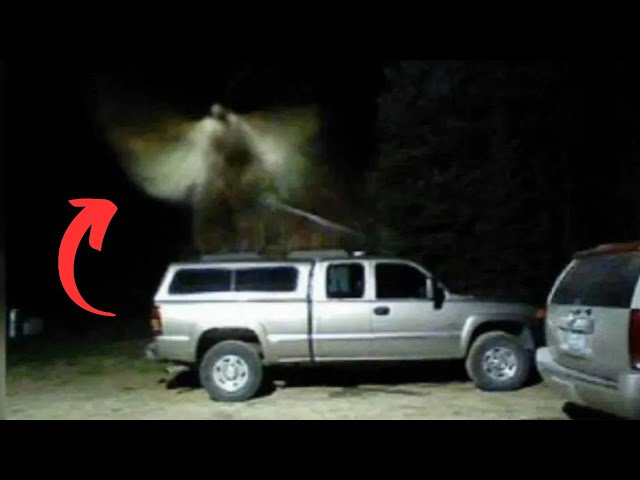 Divine Encounters: 12 Guardian Angels Caught On Camera