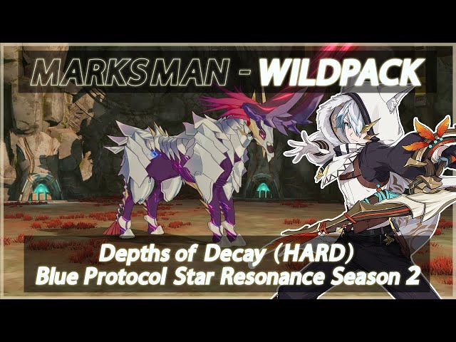 Depths of Decay (HARD) - Wildpack Gameplay - Blue Protocol Star Resonance SEASON 2