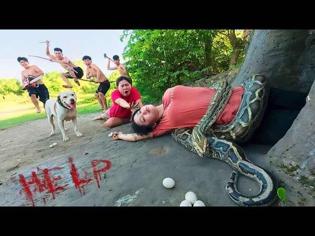 Horrifying! 4 brave hunters and pitbull rescue ethnic girl attacked by a ferocious giant python