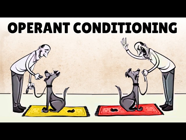 Skinner’s Operant Conditioning: Rewards & Punishments