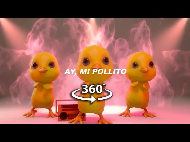 360° VR ay mi pollito pio pio tiktok | MONTAGEM PIO (Letra)