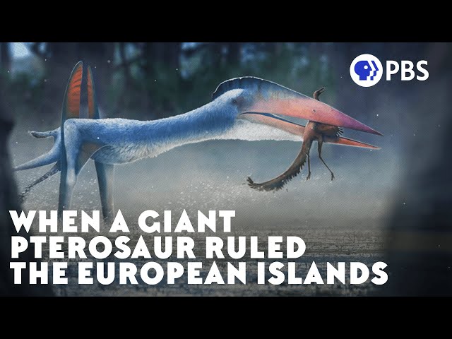 When a Giant Pterosaur Ruled the European Islands