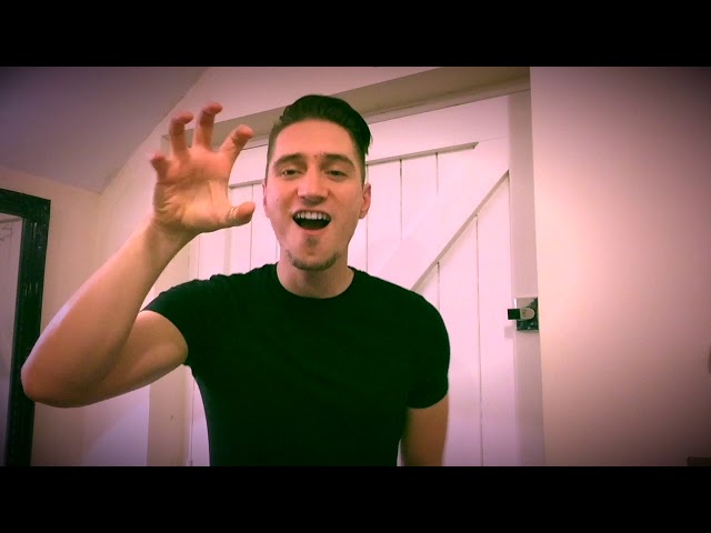ROAR - Katy Perry - SignSing BSL SSE