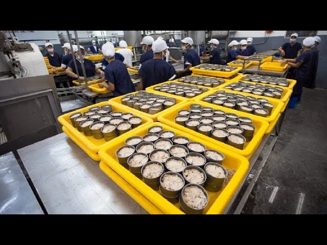 How it made Canned Tuna processing line in Factory