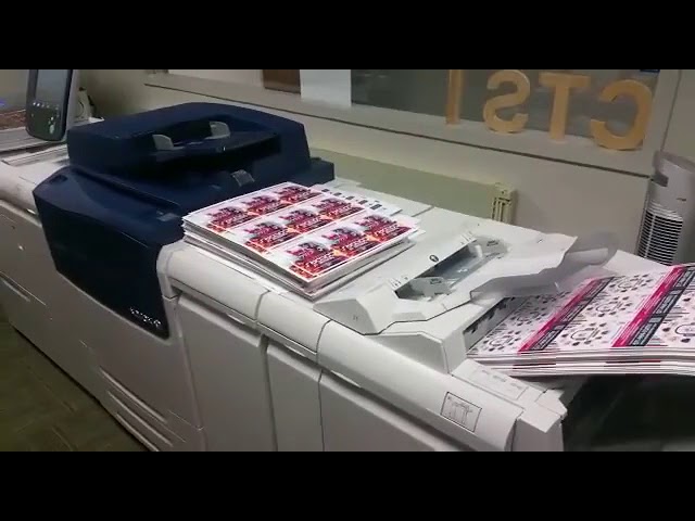 Digital Printing Flyers