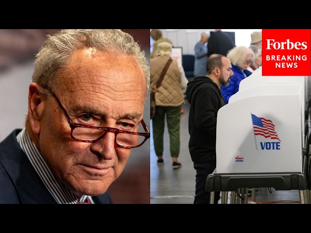 'Authoritarianism By Algorithm': Chuck Schumer Torches Trump's Voter-Screening Database
