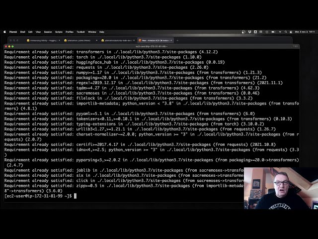 Optimize the prediction latency of Transformers with a single Docker command!