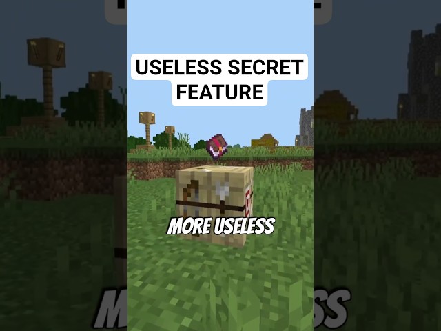 The most useless feature inside a useless feature #shorts #minecraft #gaming