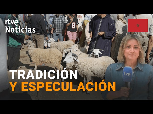 MOROCCO | FEAST OF THE SACRIFICE: CROWDED MARKETS AND SKYROCKETING PRICES | RTVE News