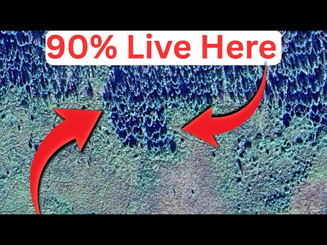 Top 5 Public Land Deer Hunting Tips (That Actually Work)