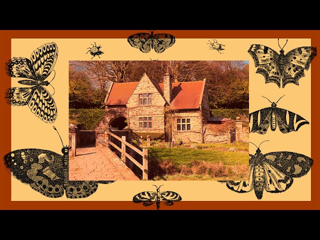 Cottagecore Vibes. Chill out, study, read or dance in the garden.