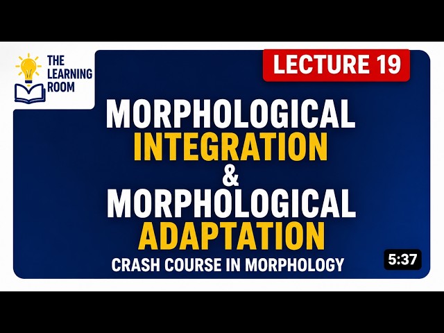 Morphological Integration vs Morphological Adaptation | Loanwords in Morphology | Language Contact