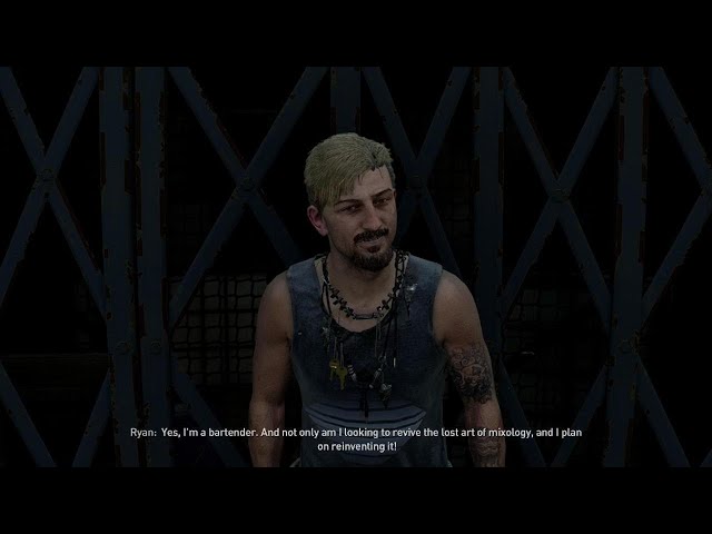 Dying Light 2: 8-BitRyan Easter Egg