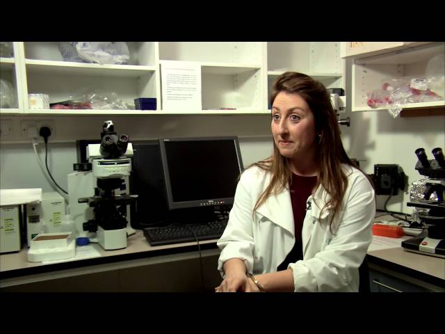 Can we be our own best weapon? Cancer Immunotherapy named Science Breakthrough of the Year