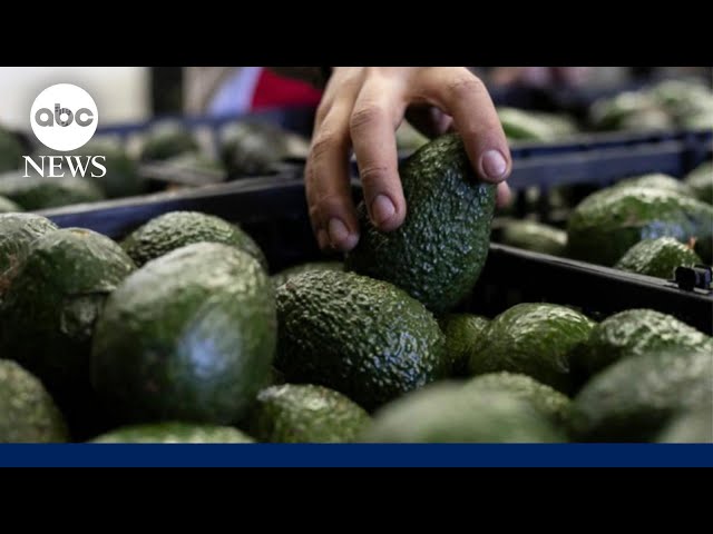 USDA pauses fruit inspections over security concerns