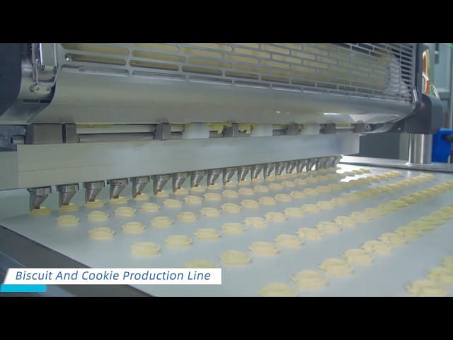 Turnkey Biscuit Production Line Project