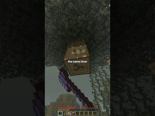 Features Java has that Bedrock NEEDS #minecraft #java #bedrock #comparison #survival #tips #tutorial