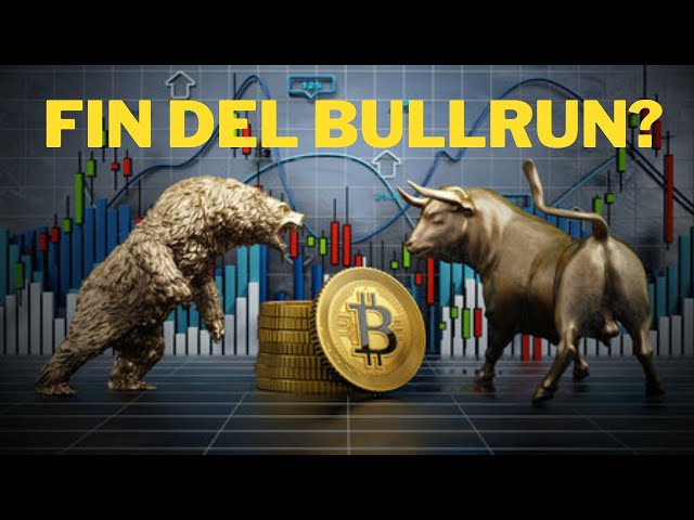 ¿El Criptomercado se Hunde o es Oportunidad? Datos que Debes Saber